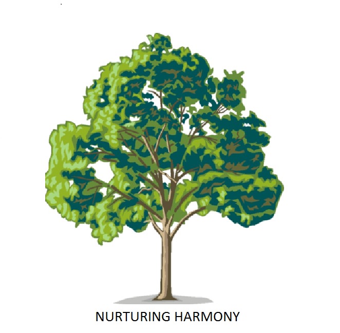 Ahupe Foundation logo